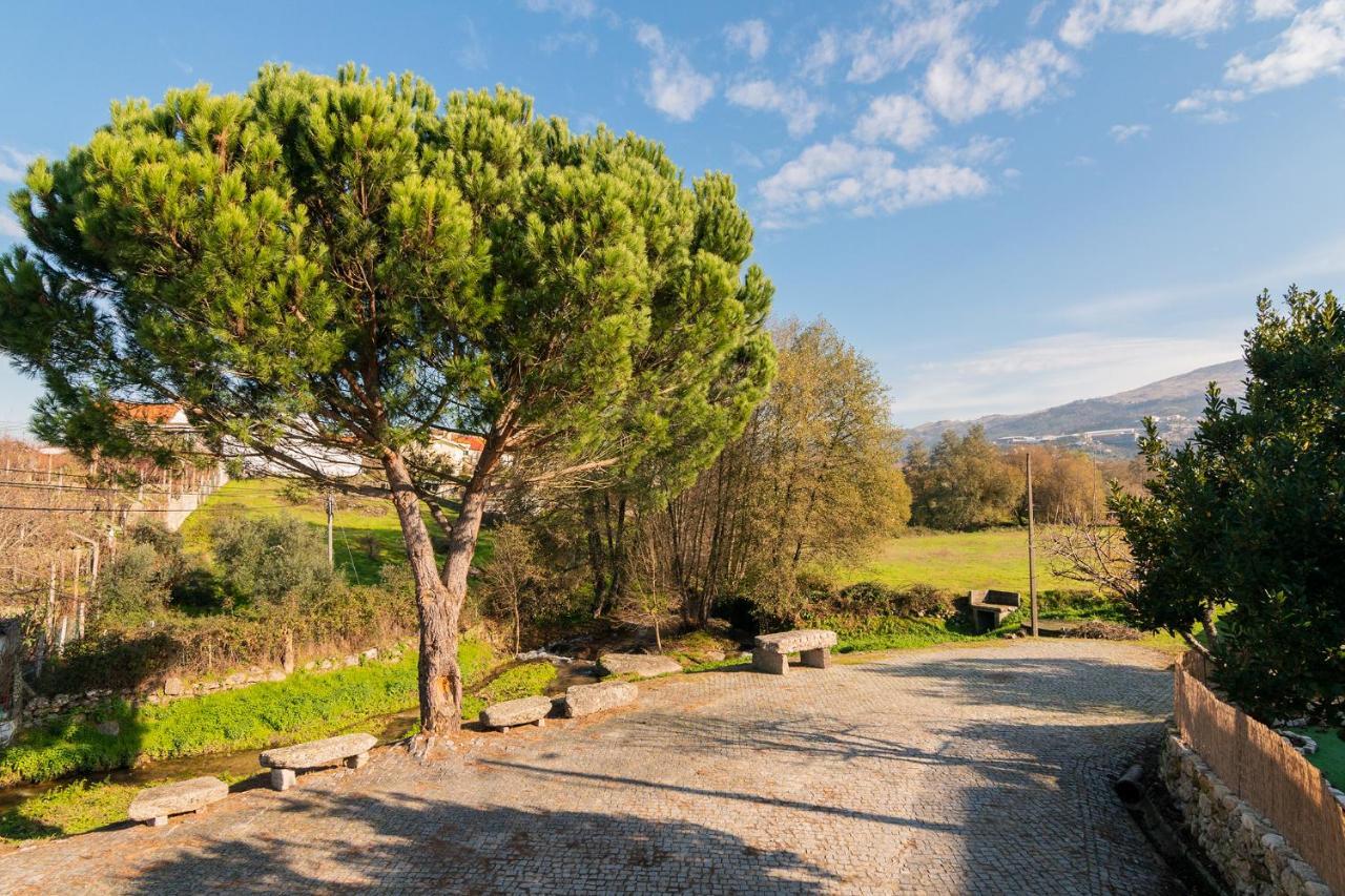 Casa Do Loureiro 1 - Seia - Serra Da Estrela Exteriör bild